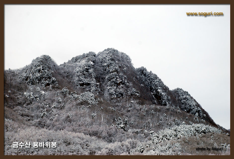 단양군 적성면 학강산에서 바라본 금수산 용바위봉 설경(雪景)