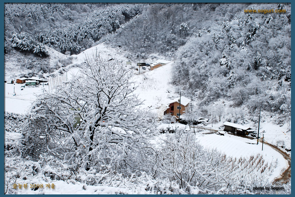 [사진]솔농원 겨울풍경 2008 - 1028x687